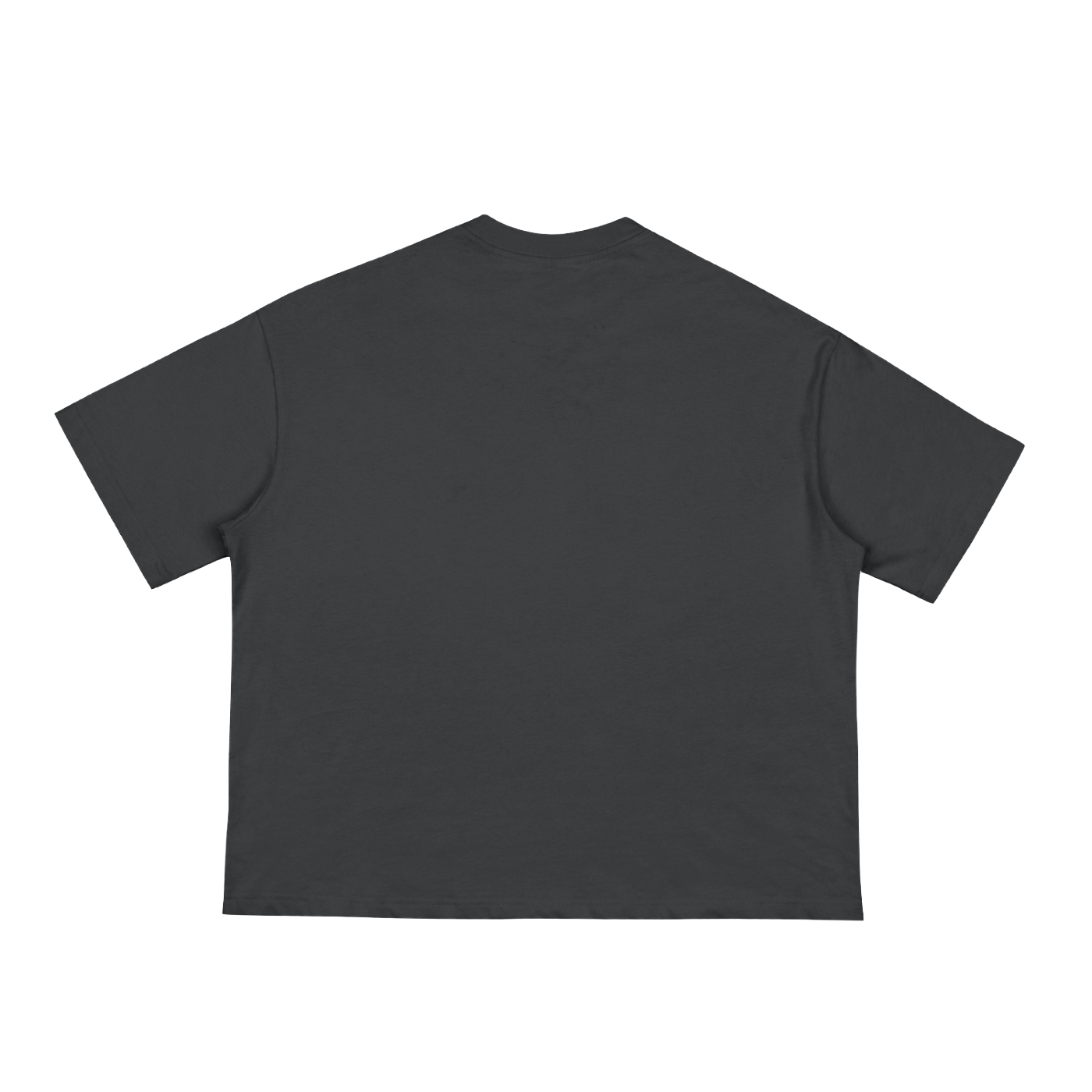NEVA2FLY-Classic Loose Boxy Tee